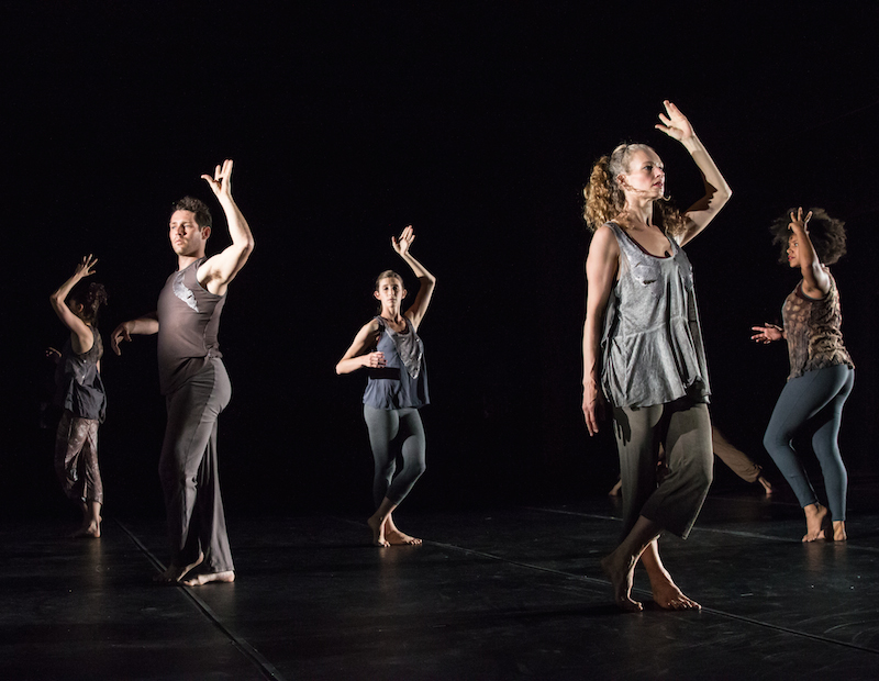 Altiplano:Jane comfort & company